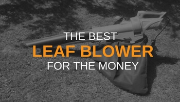 THE BEST LEAF BLOWER FOR THE MONEY